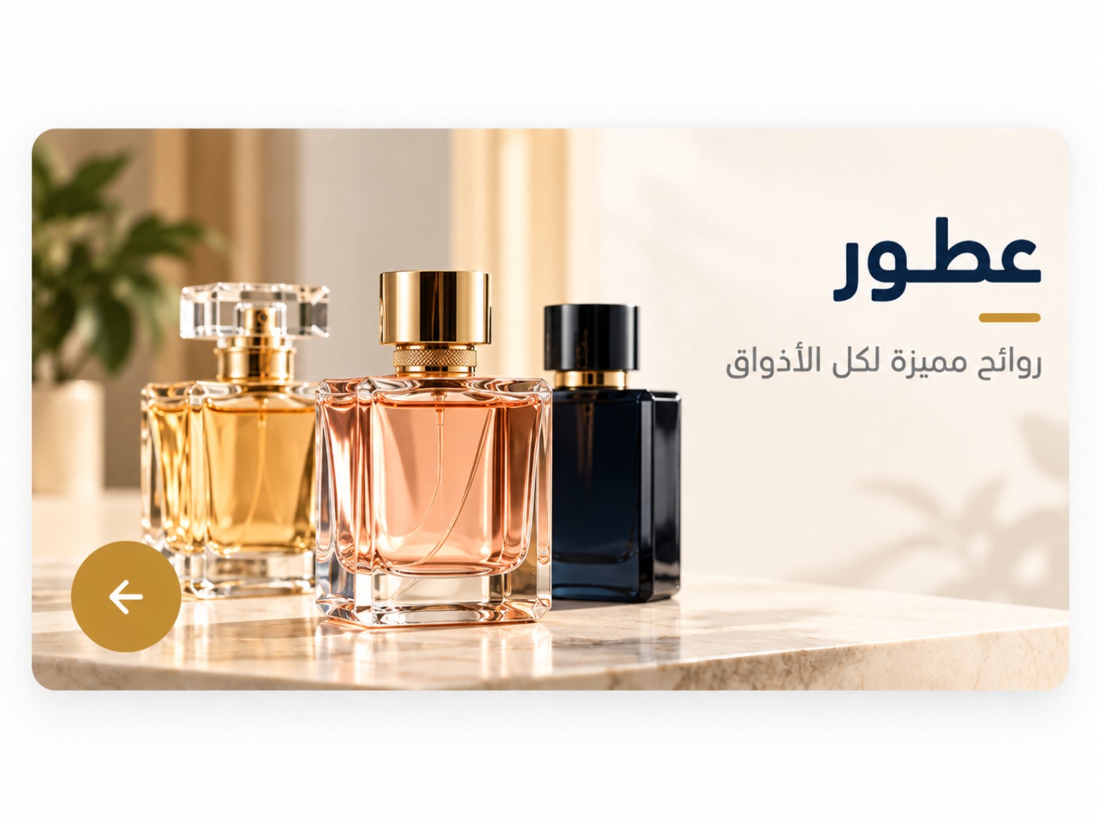 العطور — روائح مميزة لكل الأذواق